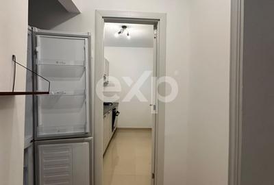 Apartament cu 2 camere semidecomandat, mobilat în Gara de Nord - 11