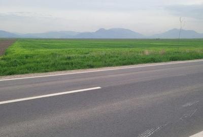 Teren Construcții intravilan de 15000 mp, în Prejmer - 2