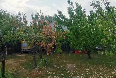 Casă cu 3 camere cu Teren 1530 Mp în Șiria