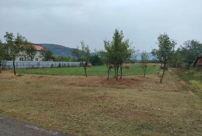 Teren de 3080 mp, în Căprioara
