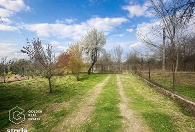 Casă cu 3 camere decomandat cu Teren 1944 Mp în Vârfurile - 3
