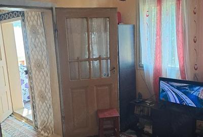 Casă cu 3 camere cu Teren 14000 Mp în Izvoru (Gogoșari) - 2