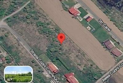 Teren de 4858 mp, în Ciolpani