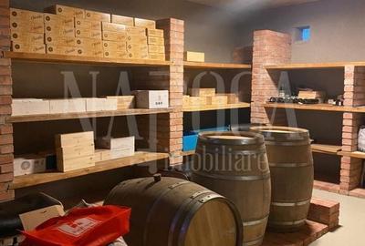 Casă individuală cu 8 camere cu Garaj în Borhanci - 24