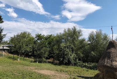 Casă cu 3 camere cu Teren 1000 Mp în Socea