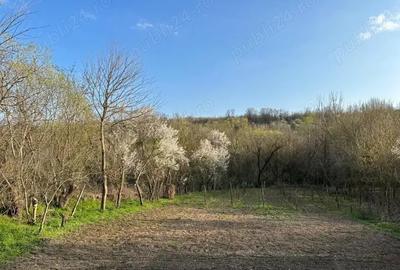 Teren de 1323 mp, în Vârvor - 2