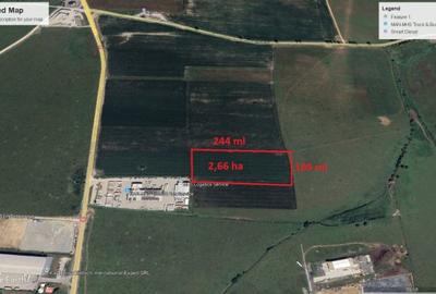 Teren intravilan de 26600 mp, în Turnișor