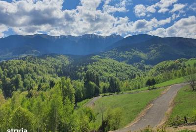 Teren de 500 mp, în Bran - 6