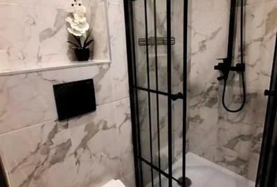 Apartament cu 2 camere decomandat în Buziașului - 2