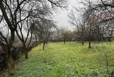 Casă cu 3 camere cu Teren 1114 Mp în Vechea - 2