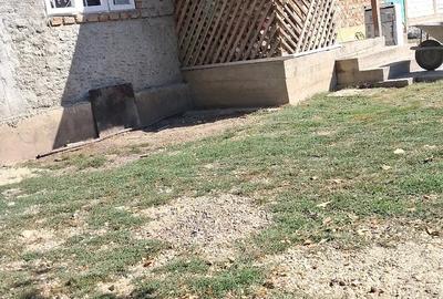 Casă cu Teren 1500 Mp în Orbeasca