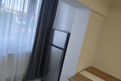 Garsonieră decomandată în Beba Veche - 3