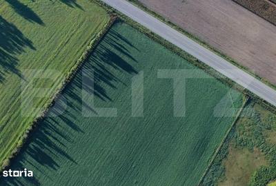 Teren de 50000 mp, în Șagului