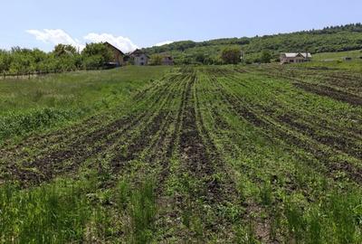 Teren de 2900 mp, în Tureni - 3