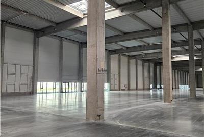Spațiu industrial, de 9,500 mp, în Industrial Vest - 11