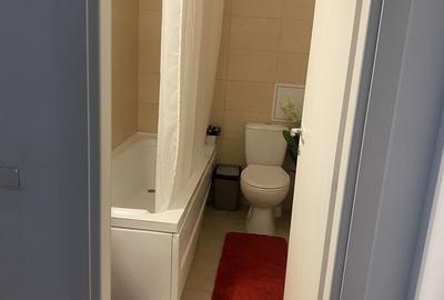 Apartament cu 2 camere nedecomandat în Pantelimon - 4