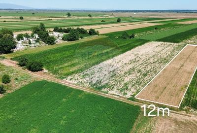 Teren agricol intravilan de 1391 mp, în Biliești - 1