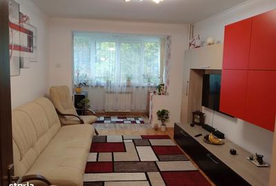 Apartament cu 3 camere decomandat, mobilat în George Enescu - 2