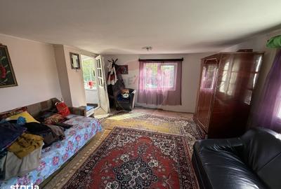 Casă cu 4 camere cu Teren 3765 Mp în Mihăești - 2