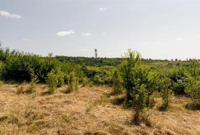 Teren de 1200 mp, în Paleu - 9