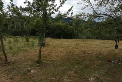 Teren de 20000 mp, în Ciucea - 3