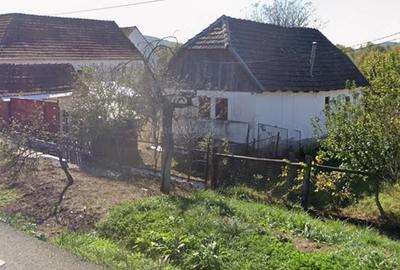 Casă cu 2 camere cu Teren 2748 Mp în Căpruța - 1