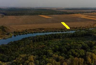 Teren de 4700 mp, în Gruiu - 3
