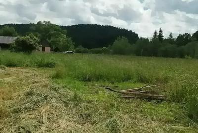 Teren de 5808 mp, în Valea Putnei - 5