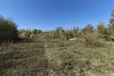 Teren de 7178 mp, în Frătăuții Vechi - 8
