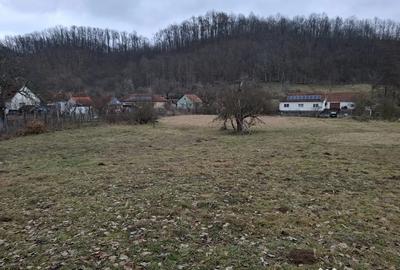 Teren de 3140 mp, în Petriș - 1