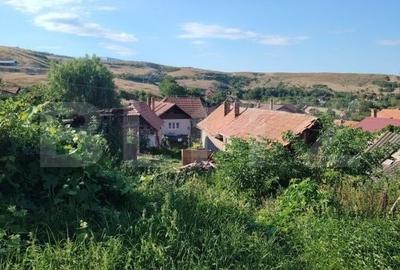 Casă cu 2 camere în Mihai Viteazu