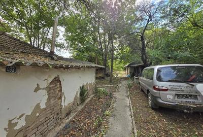 Teren de 884 mp, în Dârza