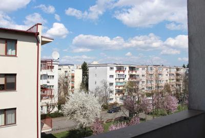 Apartament cu 2 camere semidecomandat în Mănăștur - 1