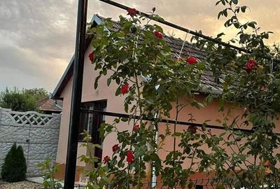 Casă cu 2 camere cu Teren 1439 Mp în Cadea - 8