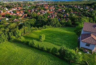 Teren Construcții intravilan de 1441 mp, în Simeria - 6