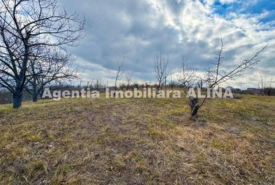 Teren de 500 mp, în Călugareni
