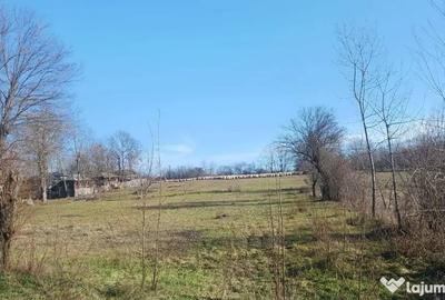 Teren în Gliganu de Sus