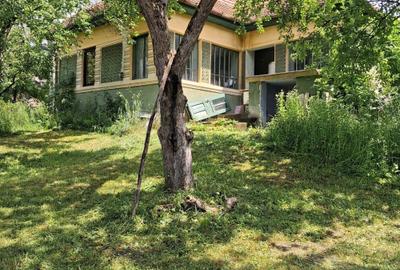 Casă cu 3 camere în Delenii - 3