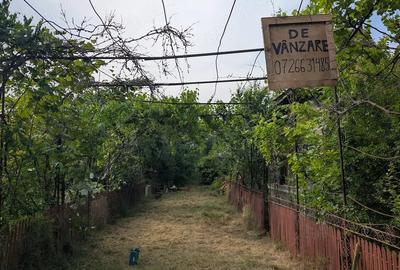 Casă cu 2 camere cu Teren 2000 Mp în Petrești - 3