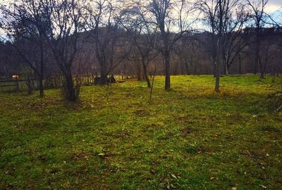 Teren Construcții intravilan de 2900 mp, în Breaza - 6