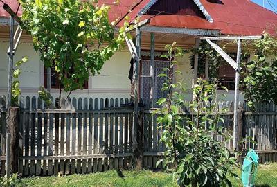Casă cu Teren 2500 Mp în Icușești - 1