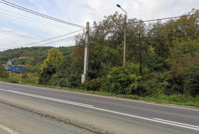 Teren intravilan de 3000 mp, în Ilba - 3