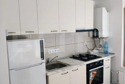 Apartament cu 2 camere în Cetate - 2
