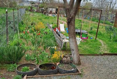 Casă cu Teren 607 Mp în Limanu