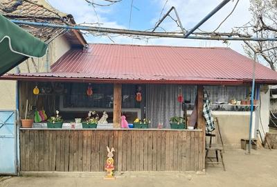 Casă cu 4 camere cu Teren 1500 Mp în Dârvari - 7