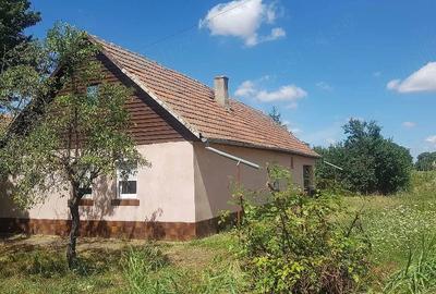 Casă cu Teren 1464 Mp în Vinga - 1