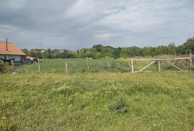 Teren de 2500 mp, în Mănăștur