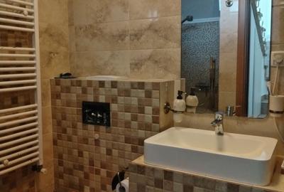 Casă cu 4 camere cu Teren 250 Mp în Lunca Apei - 2