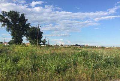Teren Construcții intravilan de 800 mp, în Țegheș - 5