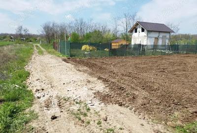 Teren de 500 mp, în Afumați - 2